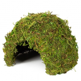 Repti-Zoo Natural Mossy Dome M  - kryjówka z mchu