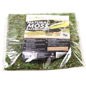 Musgo natural Repti-Zoo para terrários