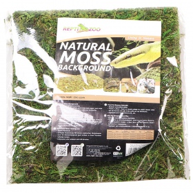 Musgo natural Repti-Zoo para terrários