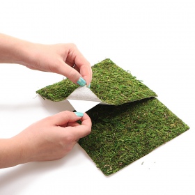 Repti-Zoo Natural Moss Back&Bottom - tło i podłoże z mchu 20x20cm