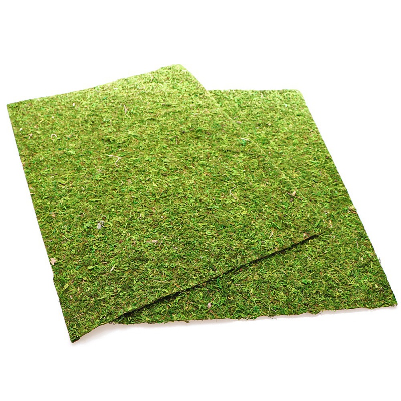 Repti-Zoo Natural Moss Back&Bottom - tło i podłoże z mchu 20x30cm