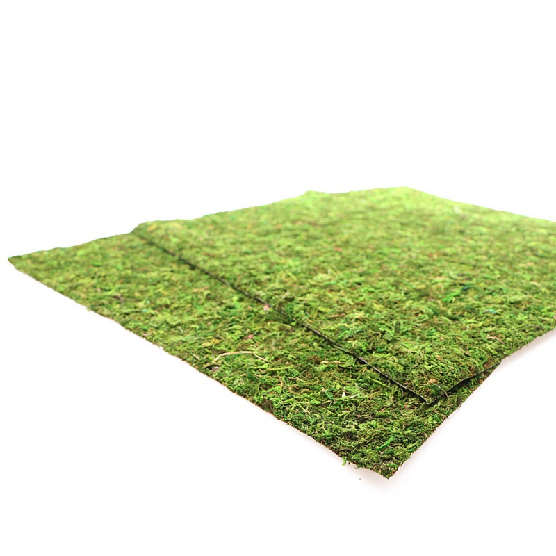 Repti-Zoo Natural Moss 45x45cm