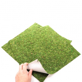 Repti-Zoo Natural Moss 45x45cm