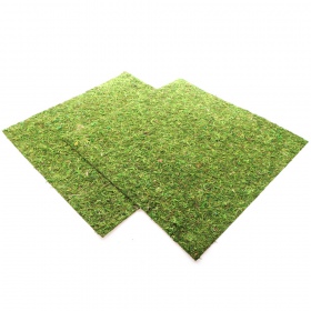 Repti-Zoo Natural Moss 45x45cm