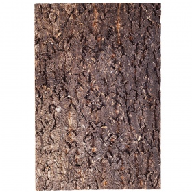 Repti-Zoo Grote Boom Achtergrond 20x30cm