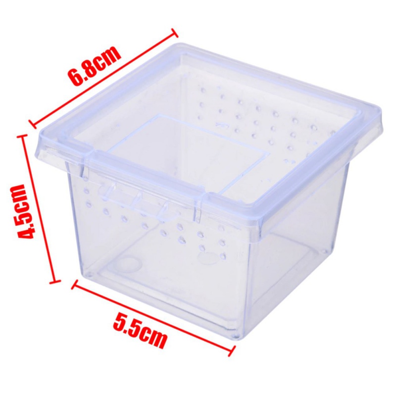 Terrario Insect Box Mini - plastikowe terrarium 6,5x6,5x4,5cm