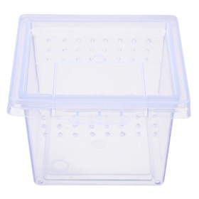 Terrario Insect Box Mini pro hmyz