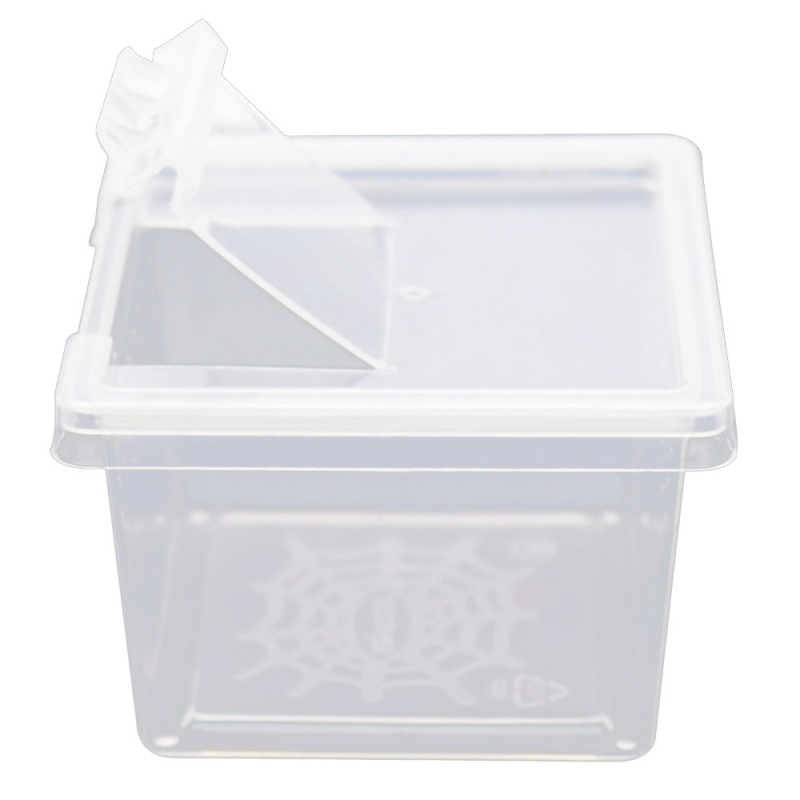 Terrario Insect Box Mini per insetti