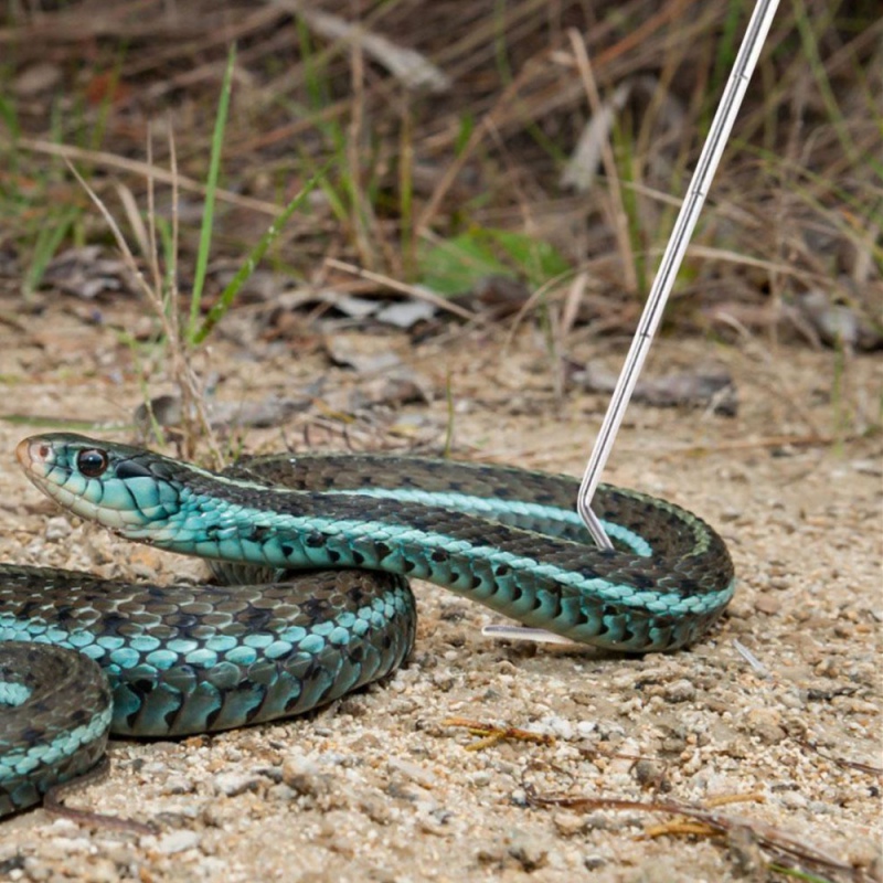 Gancio in acciaio per serpenti Repti-Zoo