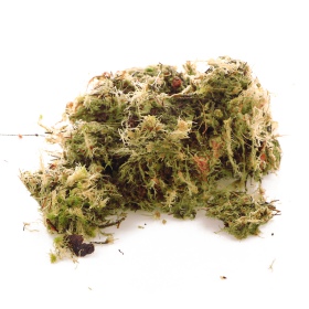 Komodo Habitat Moss 3l - live sphagnum moss 400g