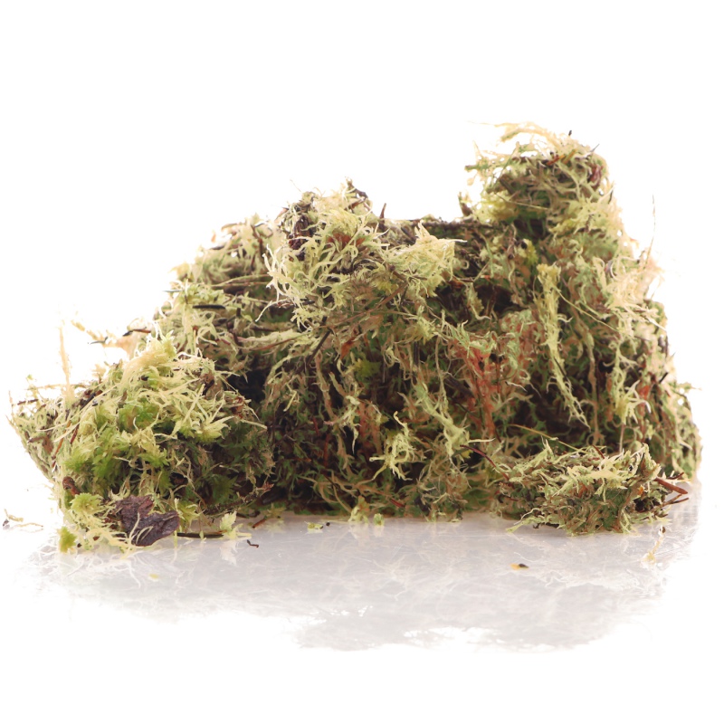 Komodo Habitat Moss 3l - live sphagnum moss 400g