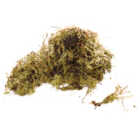 Komodo Habitat Moss 3l - live sphagnum moss 400g