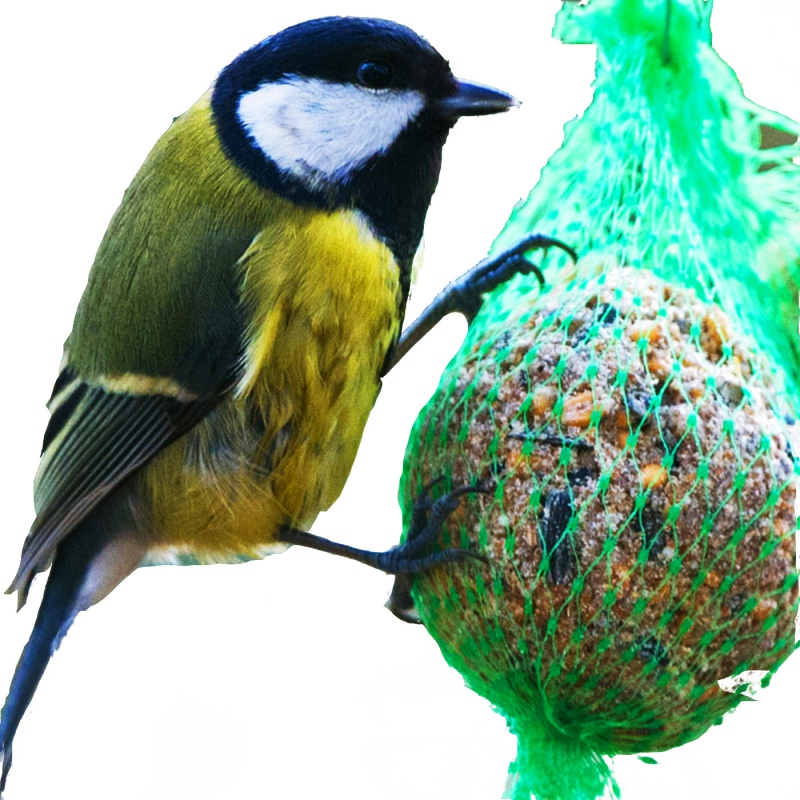 Palline di grasso Alegia per uccelli