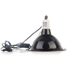 Lampe Clamp Komodo - 150W avec support à pince