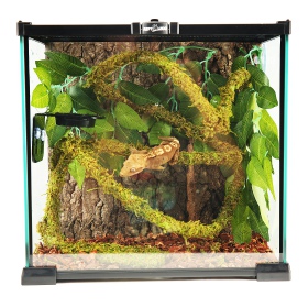 Repti-Zoo Liana with natural moss 1.5cm x 2m