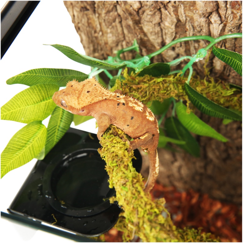 Repti-Zoo Liana with natural moss 1.5cm x 2m