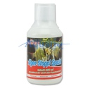 FEMANGA Algen Stopp Especial - Preparado para algas 250ml