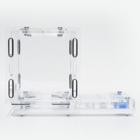 Ant Expert King's Valley formicarium