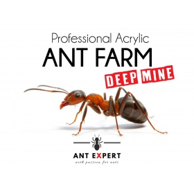 Ant Expert Deep Mine formicarium afbeelding