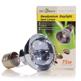 Repti-Zoo Neodym Tageslicht 75W - neodym Heizlampe