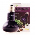 Repti-Zoo Moonlight Heat 35W - ampoule chauffante nocturne