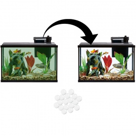 Evolution Aqua PURE Aquarium - 6 unidades