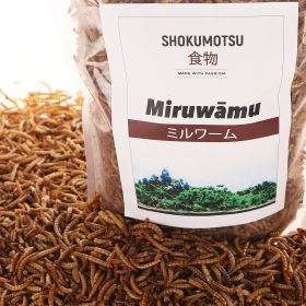 SHOKUMOTSU Miruwamu 20g - Larwy mącznika