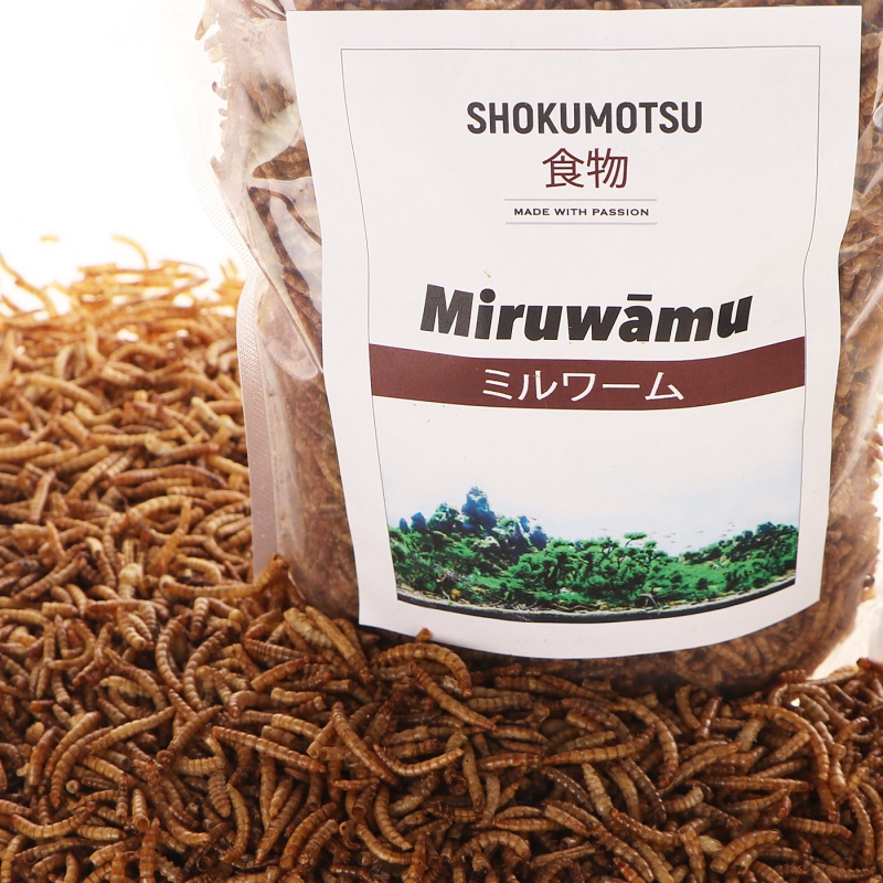 SHOKUMOTSU Miruwamu 20g - корм для рептилій