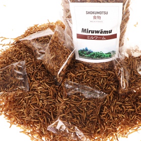 SHOKUMOTSU Miruwamu 20g - корм для рептилій