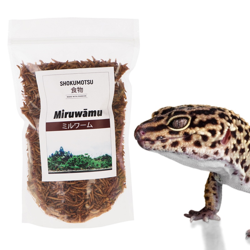 SHOKUMOTSU Miruwamu 20g - Larwy mącznika