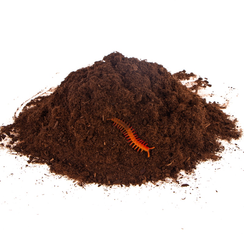 Terrario Paraguay Muds Powder - fine peat 5l