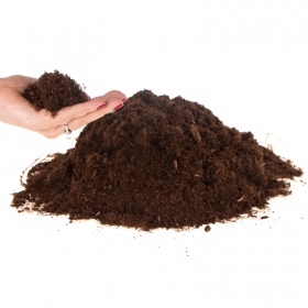 Terrario Paraguay Muds Powder - fine peat 5l