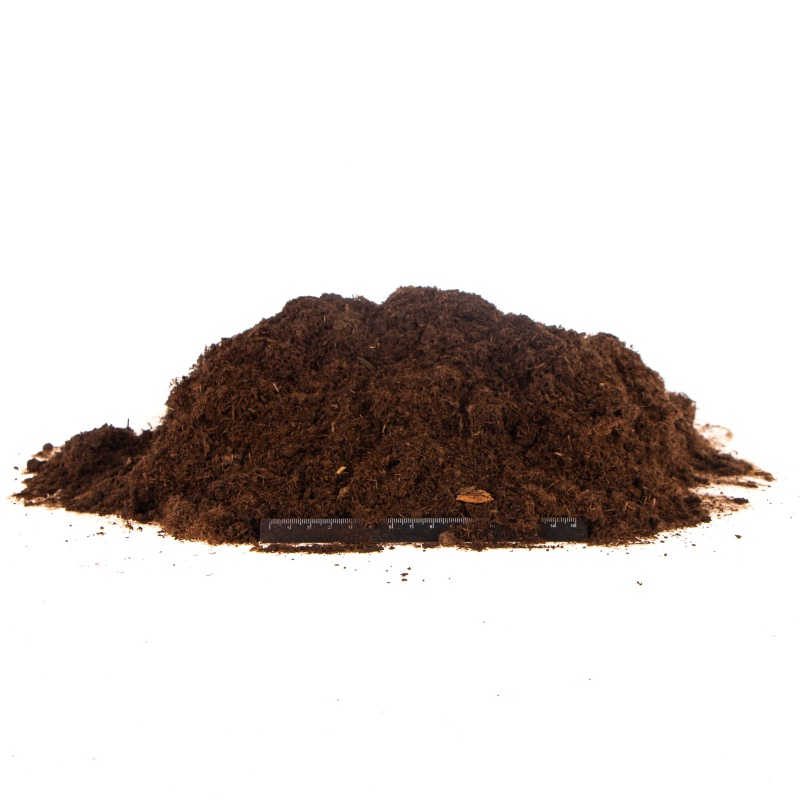 Terrario Paraguay Muds Powder - fine peat 5l