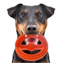 HappyPet Frame Ball - palla di gomma