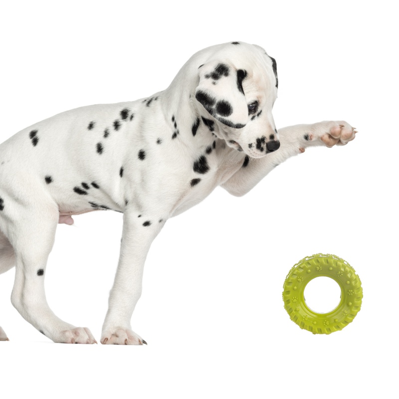 HappyPet Grrrelli Tyre S - rubber chew toy