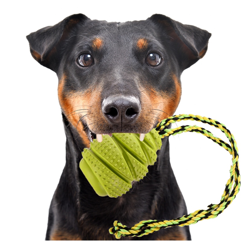 HappyPet Grrrelli Tugger - chew toy with a rope