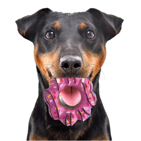 HappyPet Vinyl Donut - Donut Speelgoed voor Honden