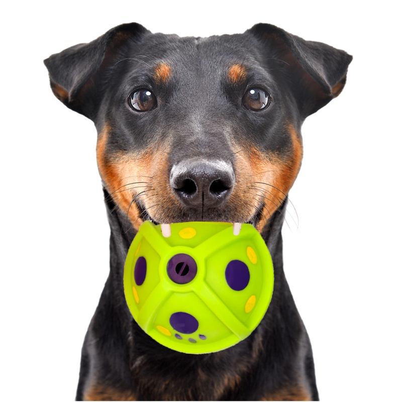 HappyPet Lachende Leckerli-Ball - Leckerli-Spenderball