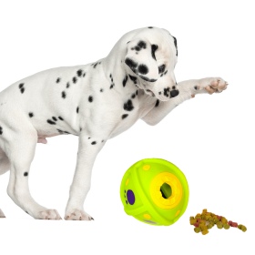 HappyPet Laughing Treat Ball - treat dispensing ball