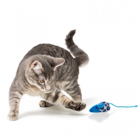 HappyPet Velour Mice - a mouse toy for cats