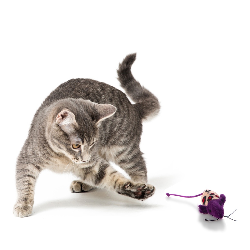 HappyPet Velour Mice - a mouse toy for cats