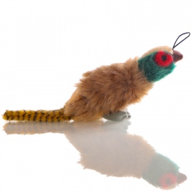 HappyPet Migrator Pheasant - mascotte fazant