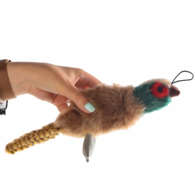 HappyPet Migrator Pheasant - pheasant mascot