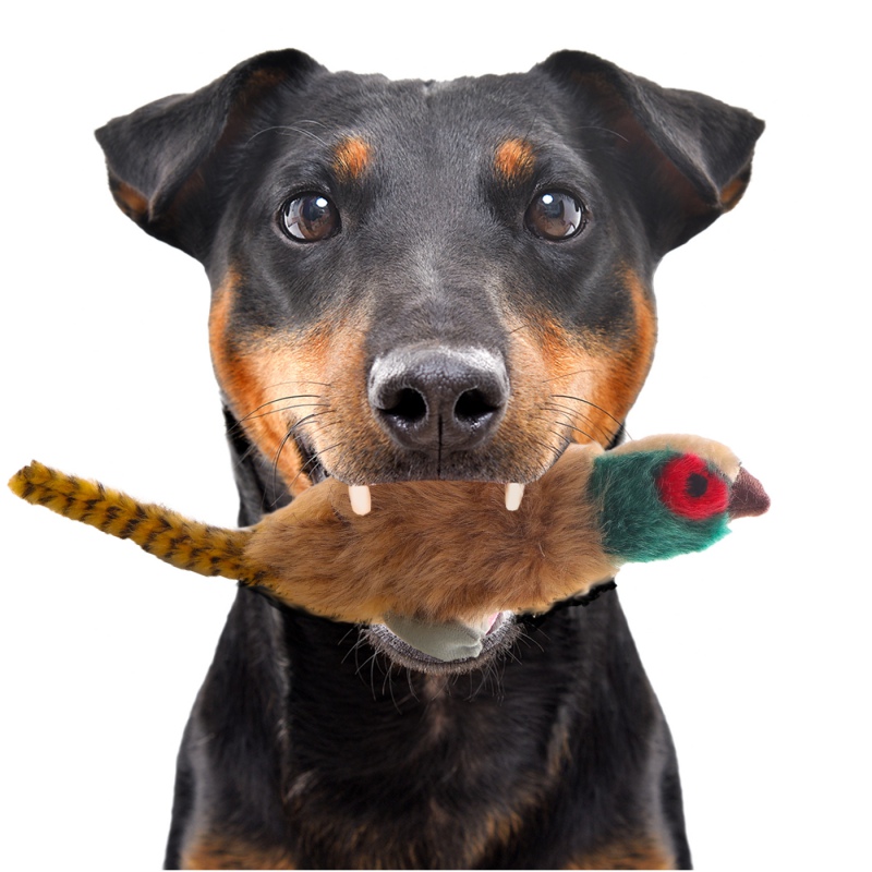 HappyPet Migrator Pheasant - mascotte fazant