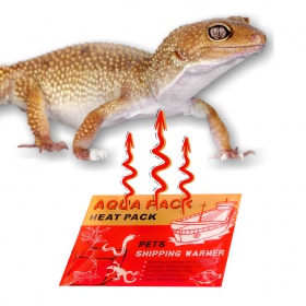 Aqua Heat Pack 40H 'Gold' - Soojendi