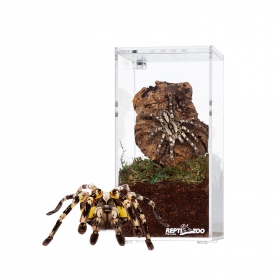 Repti-Zoo Hoge acryl terrarium 7,5x7,5x15cm