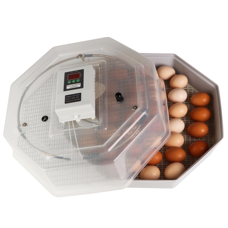 HFM Brüterei Thermo 60 - incubator