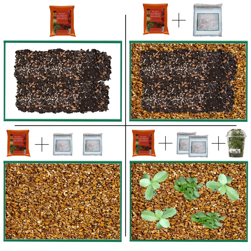 Eco Plant - Pflanzen-Nährstoff-Balance 1l - Substrat