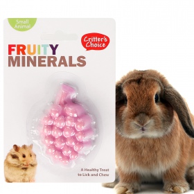 HappyPet Fruity Minerals 30g - grape calcium block