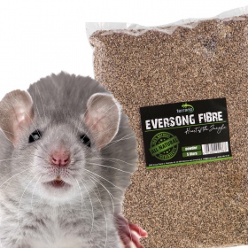 Terrario Eversong Fibre Powder 5l - ground substrate made from hemp straw